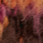 Autumn Leaves Combo