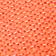 Corail néon