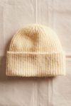 Frostline Beanie