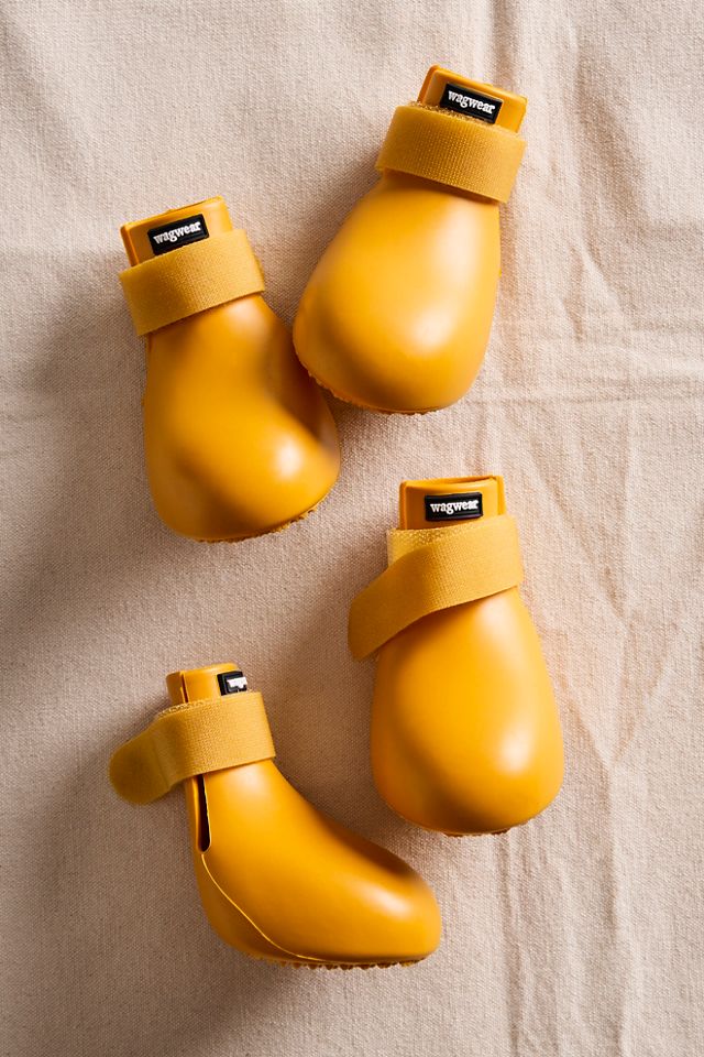Wagwear Bottes Wagwellies #1