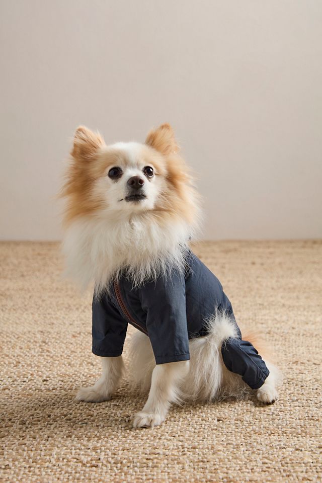 Wagwear Nylon Coverall Pet Jacket #4
