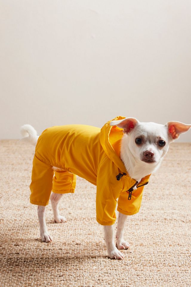 Combinaison en nylon pour animal de compagnie Wagwear #4