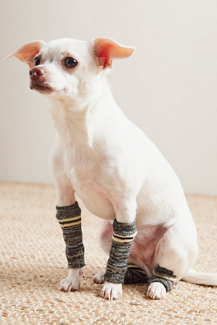 Wagwear Wagwarmers