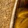 Tan & Tigers Eye