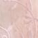 Pink Veil