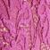 Boysenberry