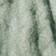 Menthe