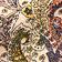 Original Paisley Combo