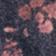 Flocked Meadow Floral
