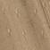 Vent Sauvage