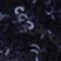 Vintage Indigo