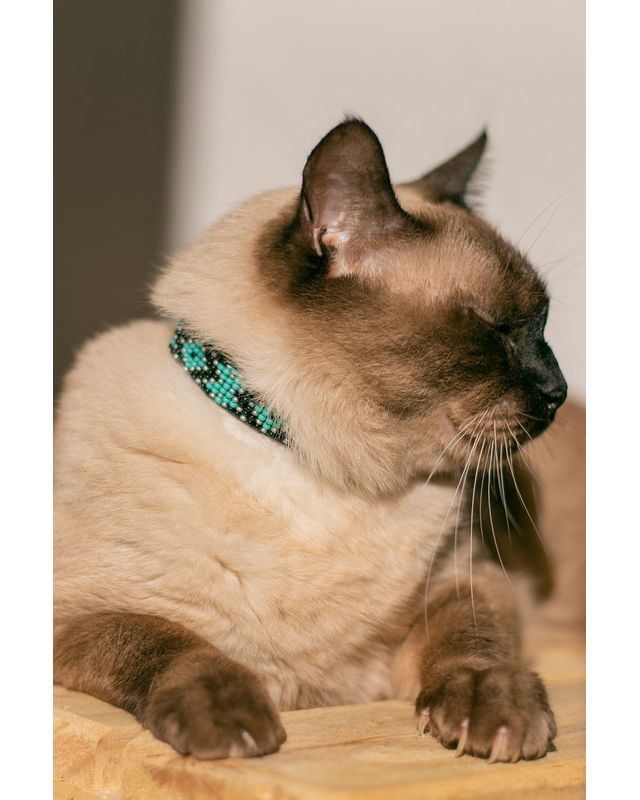 Sambboho Saint Barth Cat Collar #3