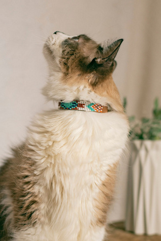 Sambboho Aztec Cat Collar