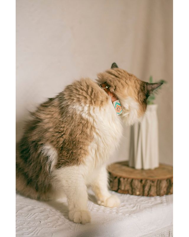 Sambboho Aztec Cat Collar #3