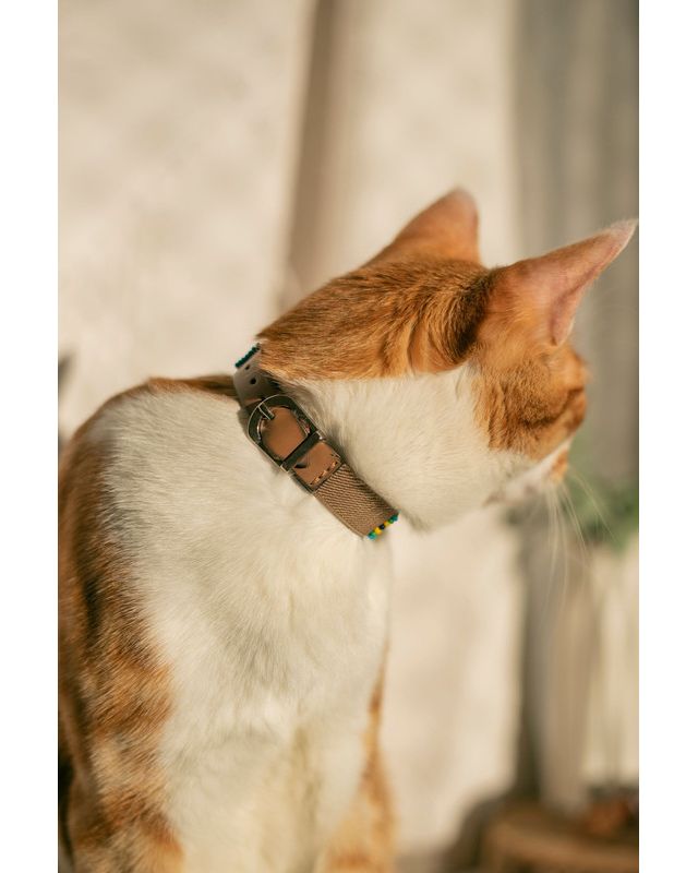 Sambboho Blue Vogue Cat Collar #3