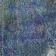 Lace Luster
