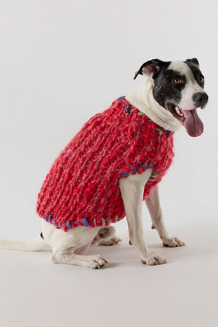 Chunky Dog Sweater by Free People