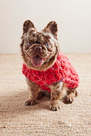 Chunky Dog Sweater by French Knot at Free People in Red, Size: XS