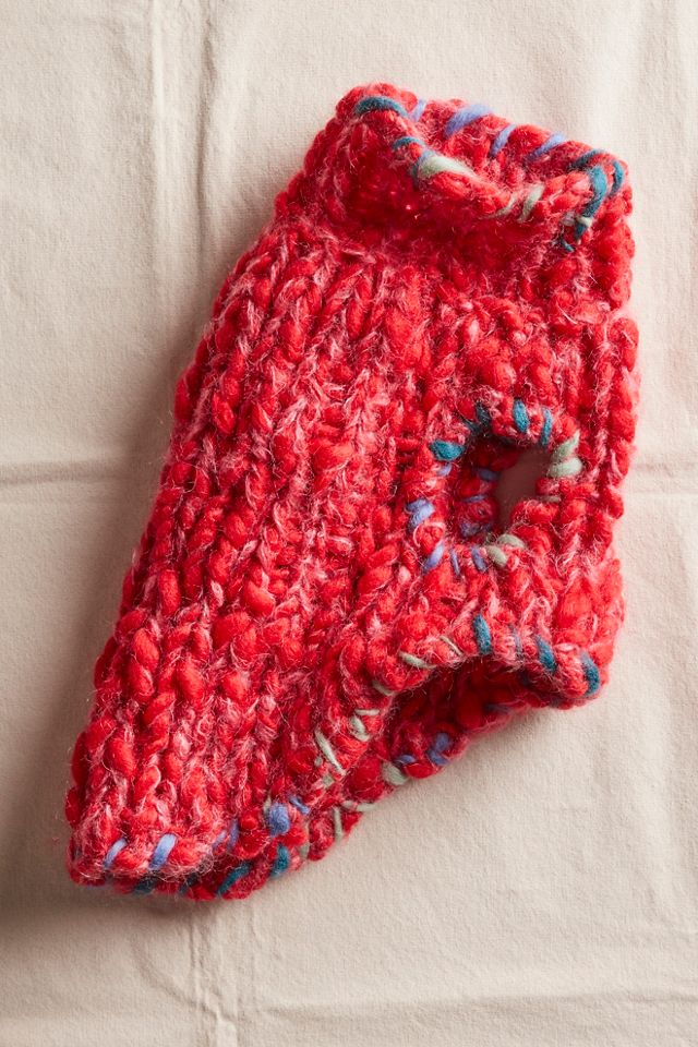 Chunky Dog Sweater #1