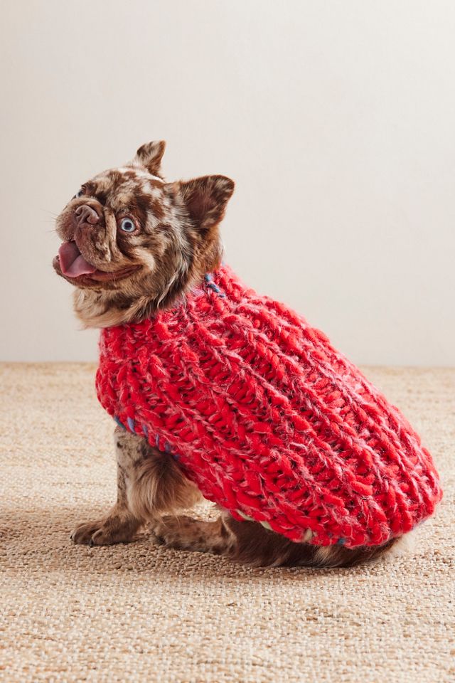Chunky Dog Sweater #4