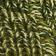 Green Mix