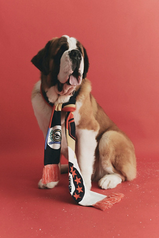 Big League Reversible Scarf