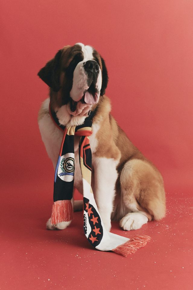 Big League Reversible Scarf