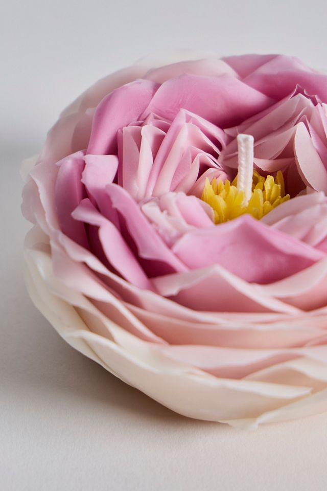 Rose Pompadour Candle #2