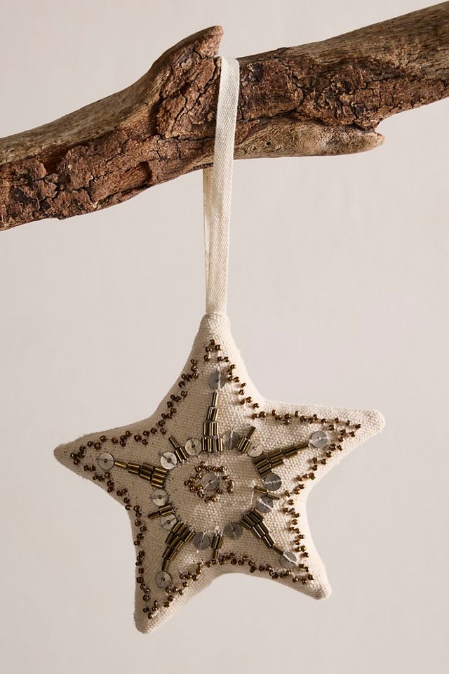 Embellished Star Ornament #1