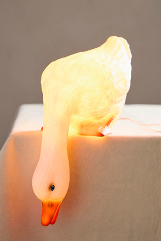 Duck Leaning Over Lamp