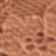 Coral Crimson