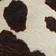 Brown Combo