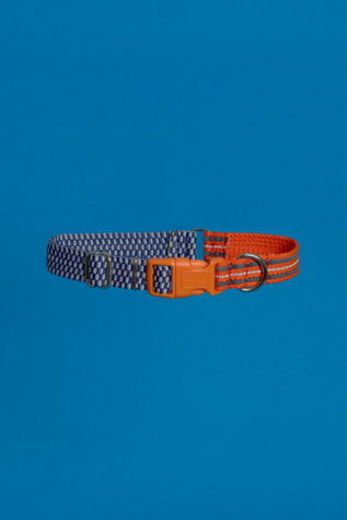Ware of the Dog Checked and Striped Webbing Collar