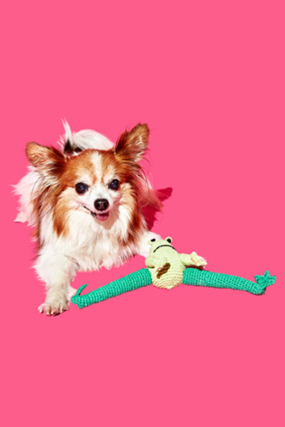 Ware of the Dog Hand Crochet Frog