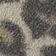 Snow Leopard / Light Caramel