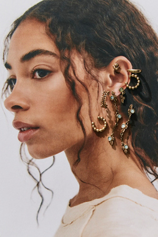 Driftwood Earring Set at Free People in Gold And Green Plants