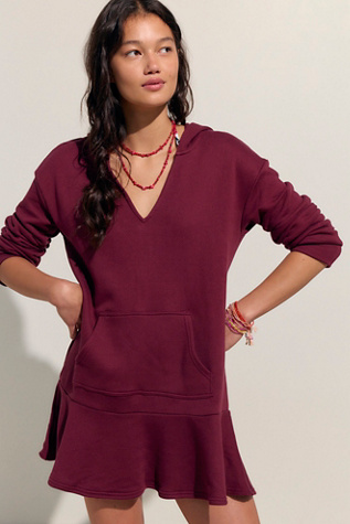 Rafferty Hoodie Mini Dress