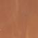 Medium Orange