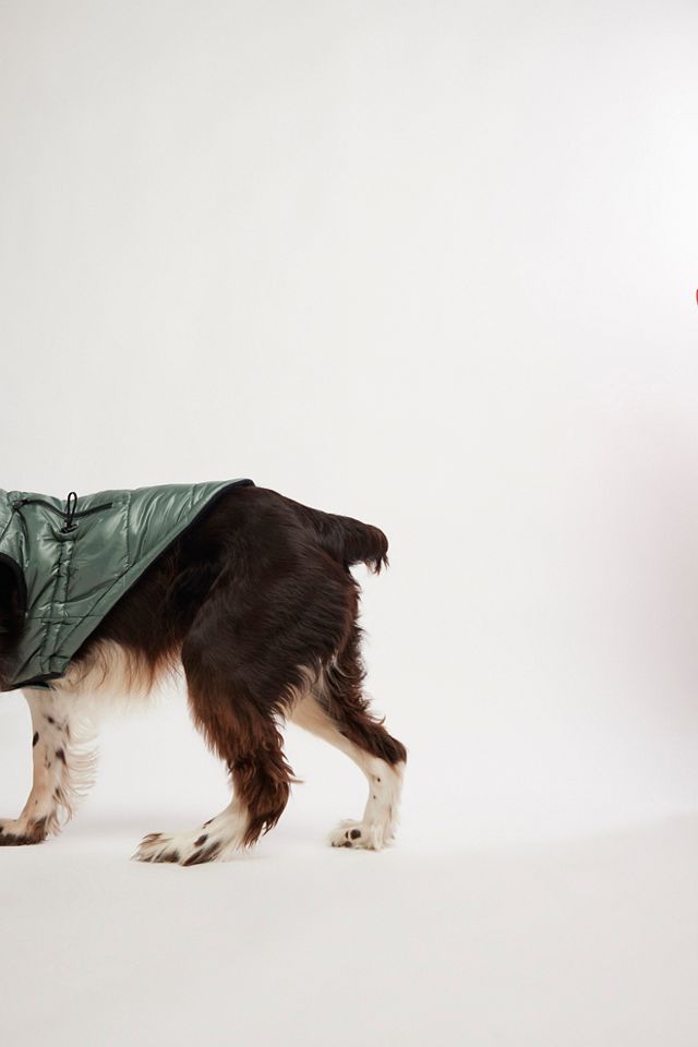 Rosie Puffer Dog Vest #3