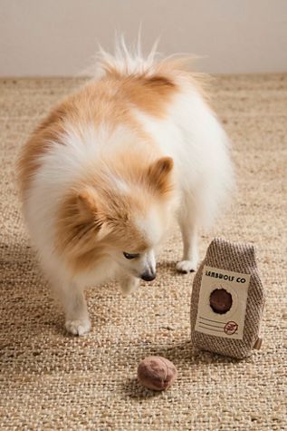 Coffee Beans Toy