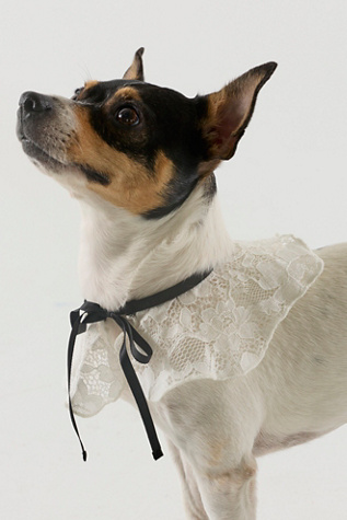 Wanda Collar