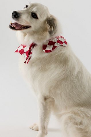 Fren x Free People Exclusive Embroidered Collar