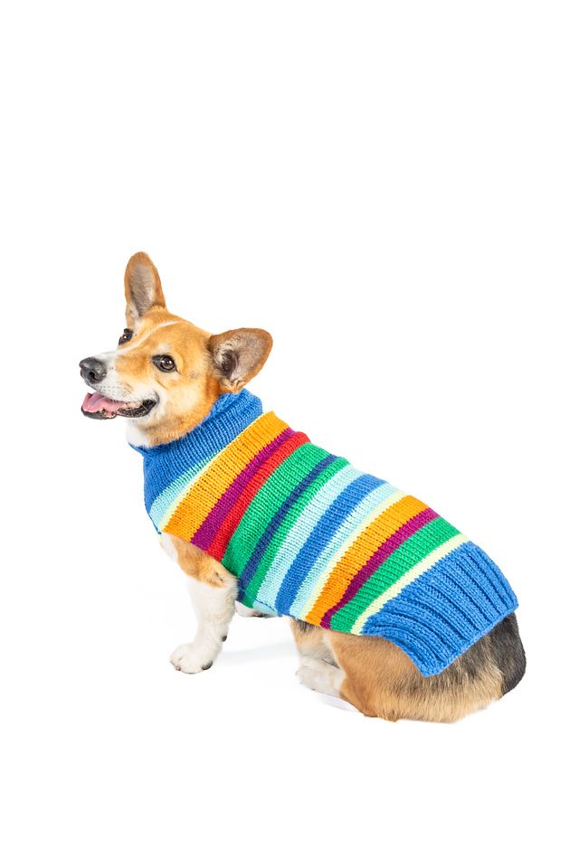 Chilly Dog Royal Alpaca Stripe Sweater #3