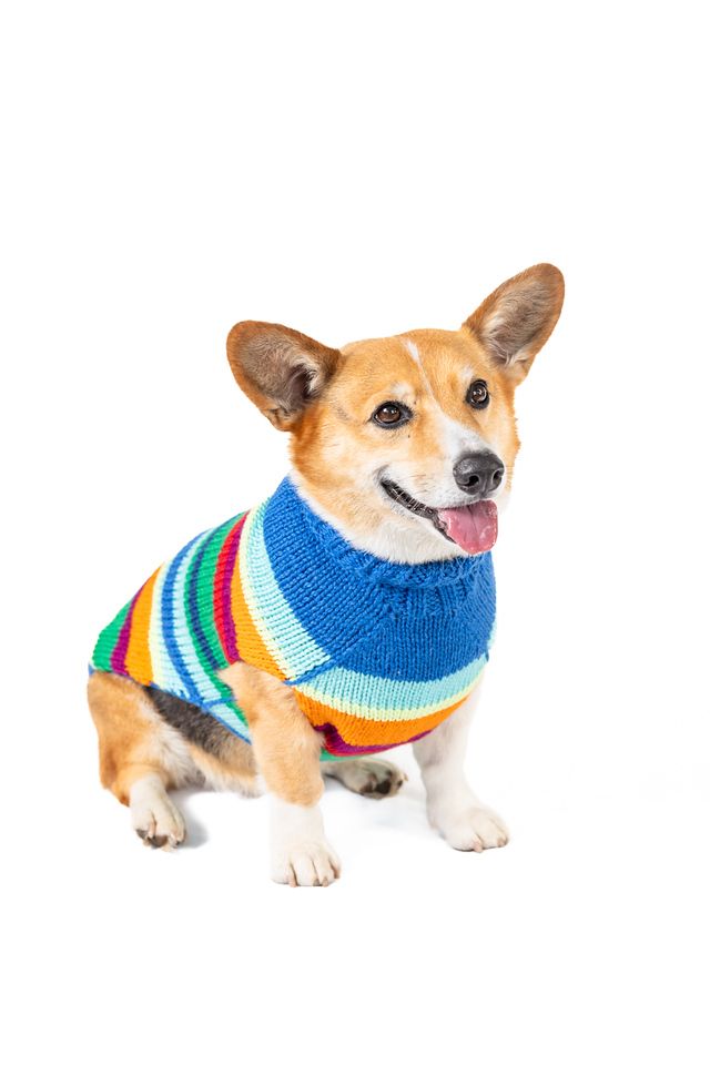 Chilly Dog Royal Alpaca Stripe Sweater #4