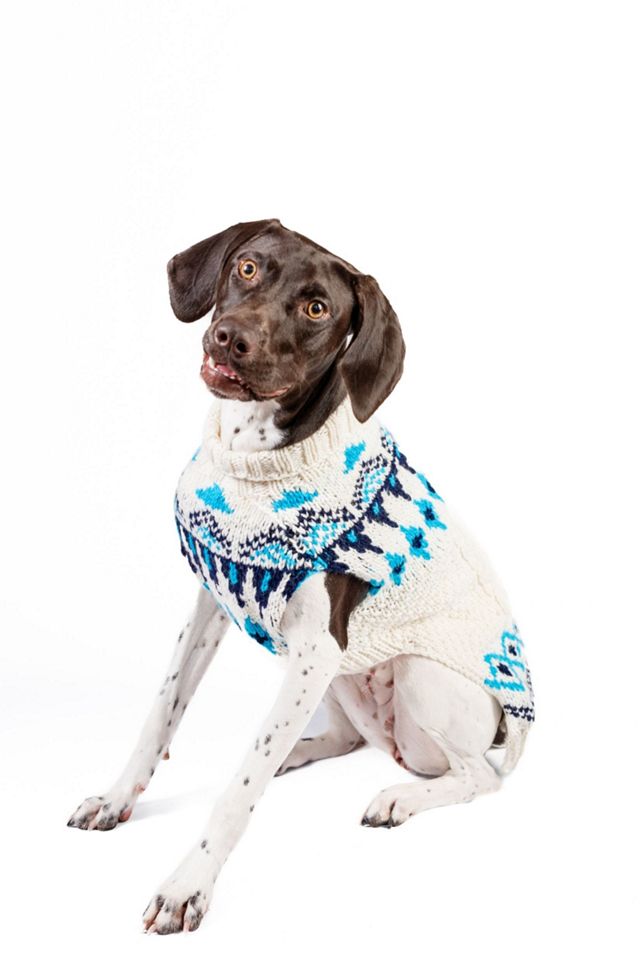 Chilly Dog Coastal Cable Sweater #2