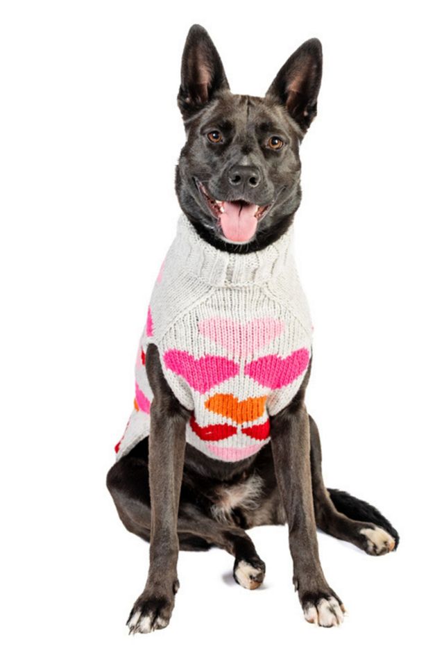 Chilly Dog Puppy Love Sweater #1