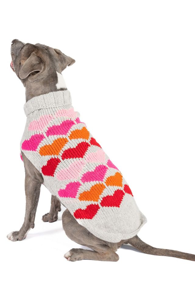 Chilly Dog Puppy Love Sweater #2