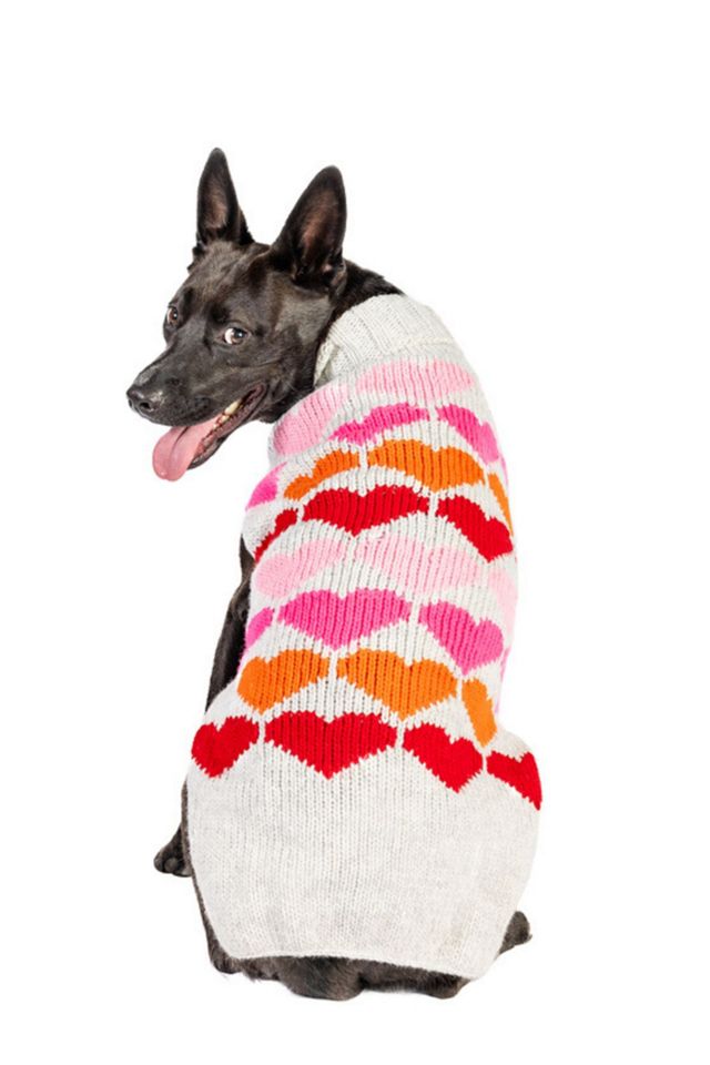Chilly Dog Puppy Love Sweater #3