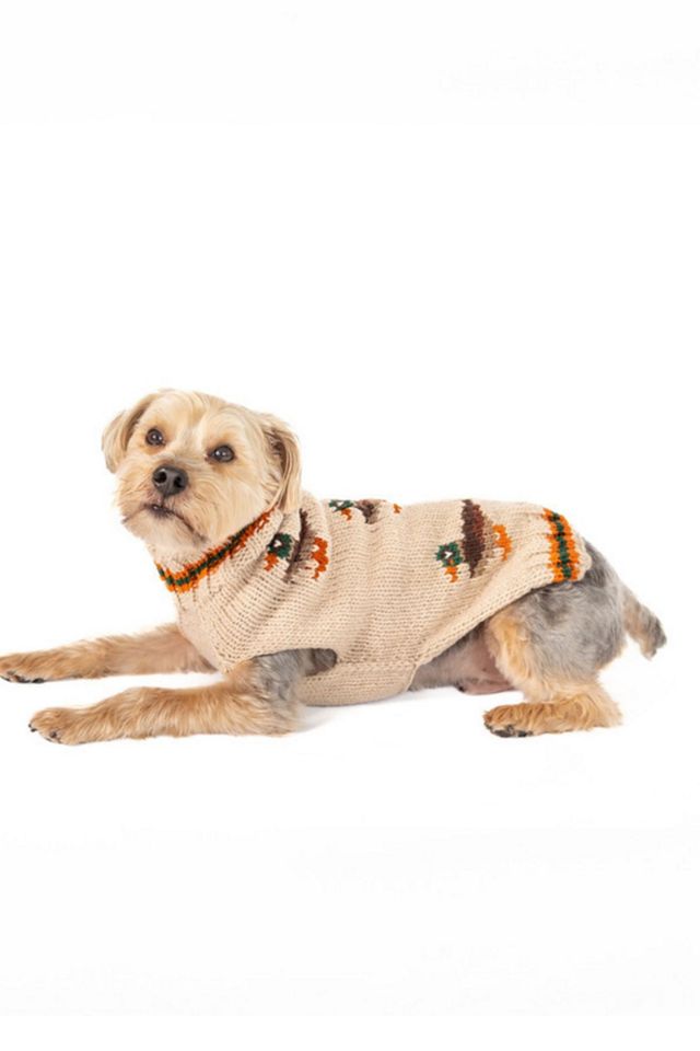 Chilly Dog Lucky Duck Sweater #1