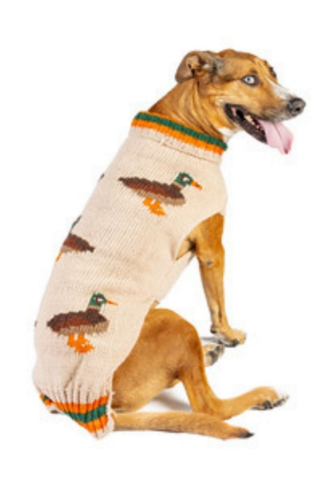 Chilly Dog Lucky Duck Sweater #2